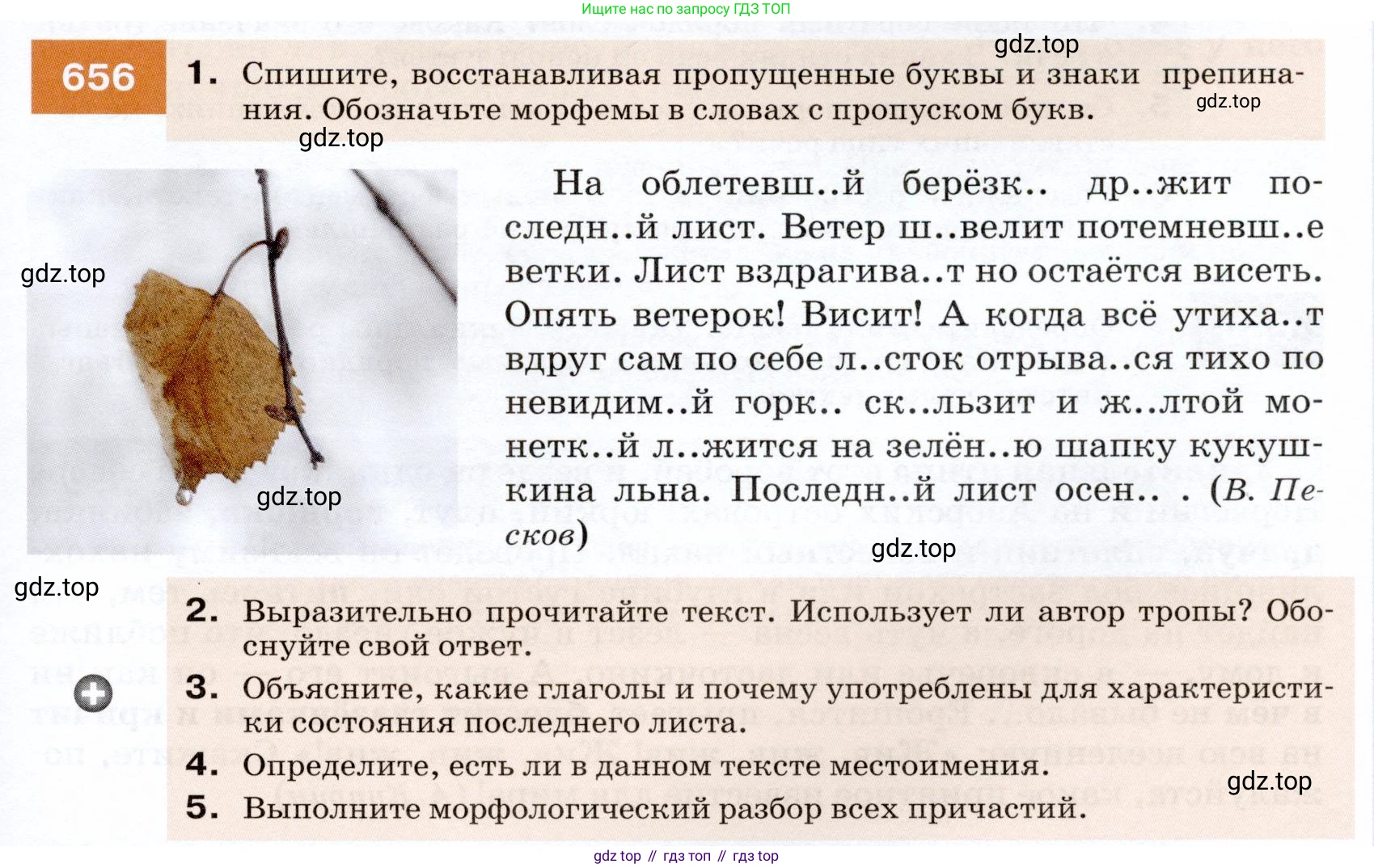 ГДЗ Русский язык, 7 класс Учебник, авторы: Разумовская Маргарита Михайловна, Львова Светлана Ивановна, Капинос Валентина Ивановна, Львов Валентин Витальевич, Сергеева Наталья Николаевна, Соловейчик Марина Сергеевна, издательство Просвещение, Москва, 2021, белого цвета, страница 249, номер 656, Условие