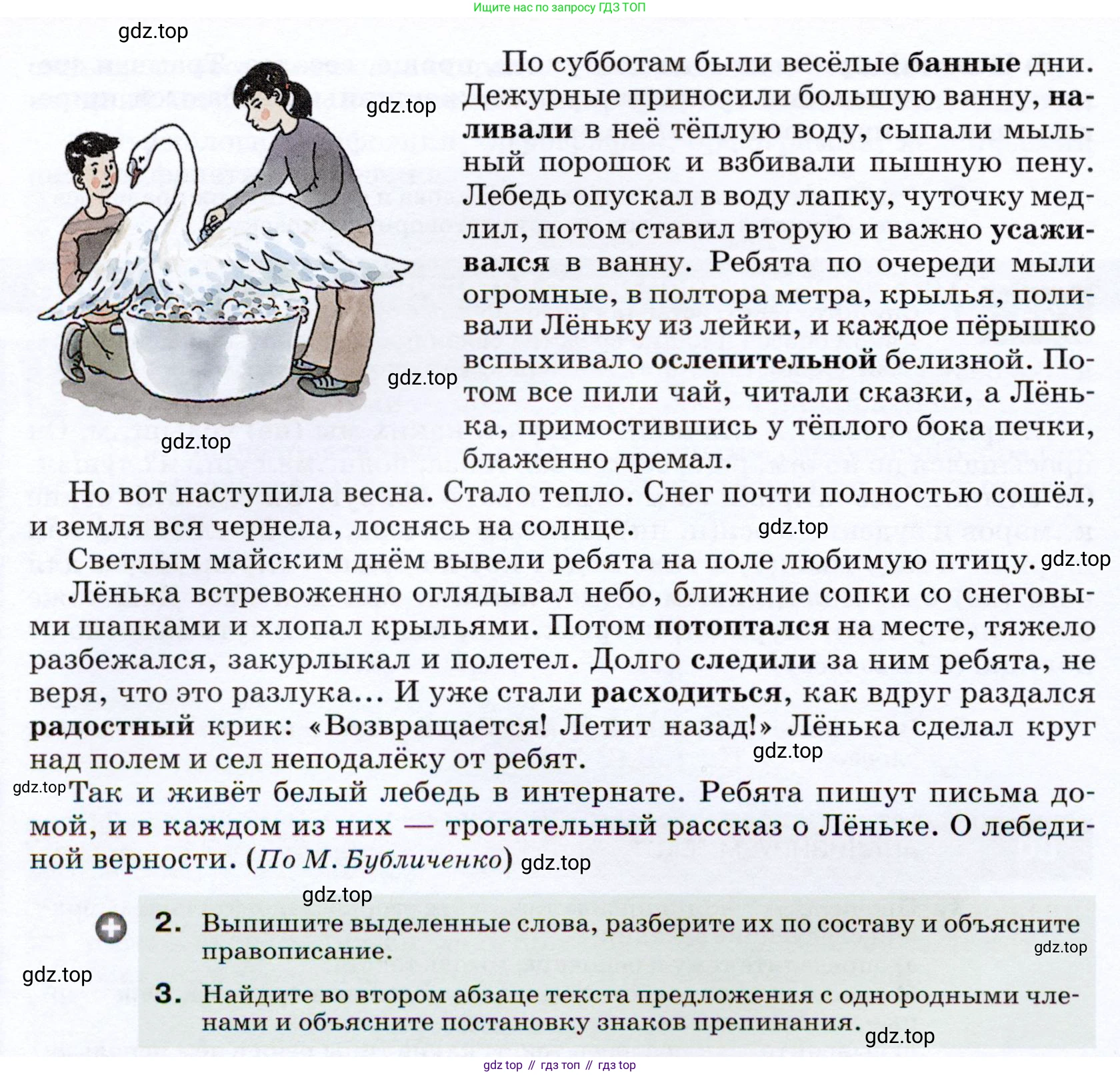 ГДЗ Русский язык, 7 класс Учебник, авторы: Разумовская Маргарита Михайловна, Львова Светлана Ивановна, Капинос Валентина Ивановна, Львов Валентин Витальевич, Сергеева Наталья Николаевна, Соловейчик Марина Сергеевна, издательство Просвещение, Москва, 2021, белого цвета, страница 31, номер 80, Условие (продолжение 2)