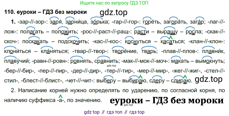ГДЗ Русский язык, 7 класс Учебник, авторы: Разумовская Маргарита Михайловна, Львова Светлана Ивановна, Капинос Валентина Ивановна, Львов Валентин Витальевич, Сергеева Наталья Николаевна, Соловейчик Марина Сергеевна, издательство Просвещение, Москва, 2021, белого цвета, страница 41, номер 110, Решение 2