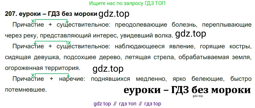 ГДЗ Русский язык, 7 класс Учебник, авторы: Разумовская Маргарита Михайловна, Львова Светлана Ивановна, Капинос Валентина Ивановна, Львов Валентин Витальевич, Сергеева Наталья Николаевна, Соловейчик Марина Сергеевна, издательство Просвещение, Москва, 2021, белого цвета, страница 75, номер 207, Решение 2
