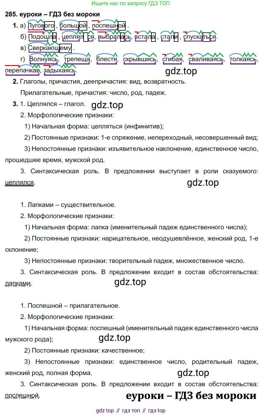 ГДЗ Русский язык, 7 класс Учебник, авторы: Разумовская Маргарита Михайловна, Львова Светлана Ивановна, Капинос Валентина Ивановна, Львов Валентин Витальевич, Сергеева Наталья Николаевна, Соловейчик Марина Сергеевна, издательство Просвещение, Москва, 2021, белого цвета, страница 107, номер 285, Решение 2
