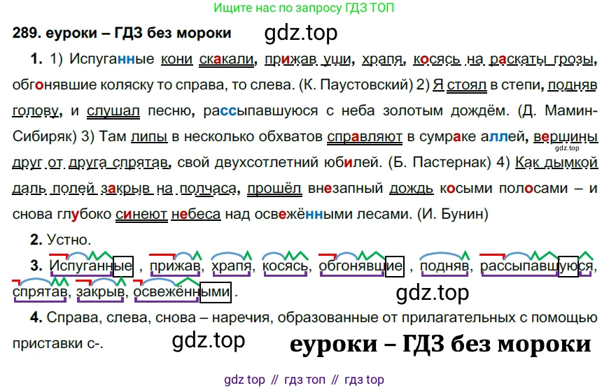 ГДЗ Русский язык, 7 класс Учебник, авторы: Разумовская Маргарита Михайловна, Львова Светлана Ивановна, Капинос Валентина Ивановна, Львов Валентин Витальевич, Сергеева Наталья Николаевна, Соловейчик Марина Сергеевна, издательство Просвещение, Москва, 2021, белого цвета, страница 109, номер 289, Решение 2