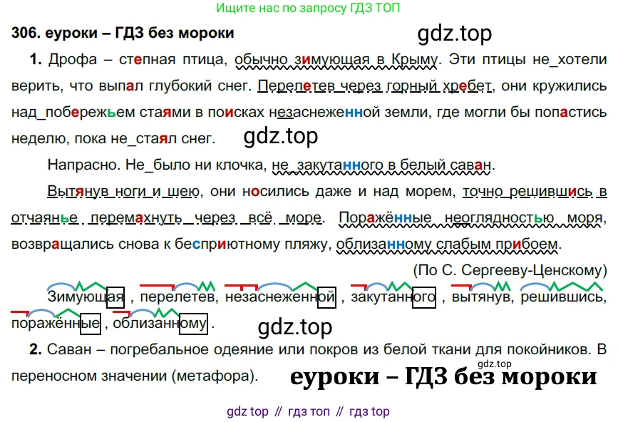 ГДЗ Русский язык, 7 класс Учебник, авторы: Разумовская Маргарита Михайловна, Львова Светлана Ивановна, Капинос Валентина Ивановна, Львов Валентин Витальевич, Сергеева Наталья Николаевна, Соловейчик Марина Сергеевна, издательство Просвещение, Москва, 2021, белого цвета, страница 115, номер 306, Решение 2