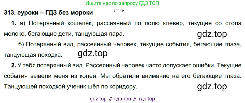 ГДЗ Русский язык, 7 класс Учебник, авторы: Разумовская Маргарита Михайловна, Львова Светлана Ивановна, Капинос Валентина Ивановна, Львов Валентин Витальевич, Сергеева Наталья Николаевна, Соловейчик Марина Сергеевна, издательство Просвещение, Москва, 2021, белого цвета, страница 119, номер 313, Решение 2
