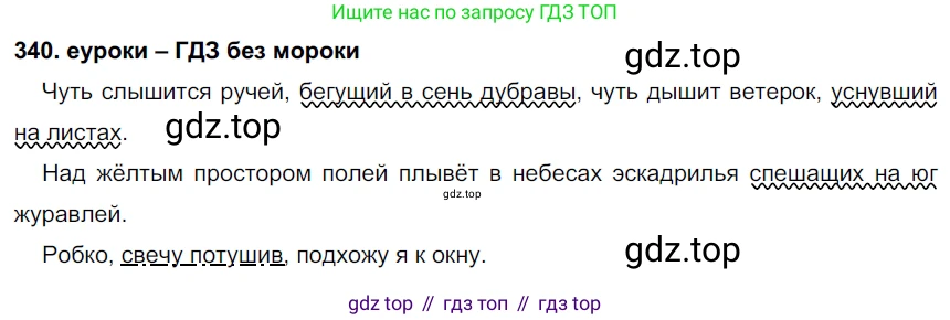 ГДЗ Русский язык, 7 класс Учебник, авторы: Разумовская Маргарита Михайловна, Львова Светлана Ивановна, Капинос Валентина Ивановна, Львов Валентин Витальевич, Сергеева Наталья Николаевна, Соловейчик Марина Сергеевна, издательство Просвещение, Москва, 2021, белого цвета, страница 128, номер 340, Решение 2