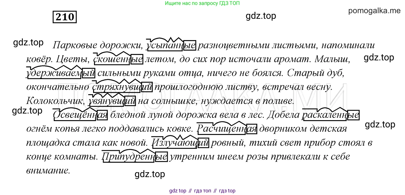 ГДЗ Русский язык, 7 класс Учебник, авторы: Разумовская Маргарита Михайловна, Львова Светлана Ивановна, Капинос Валентина Ивановна, Львов Валентин Витальевич, Сергеева Наталья Николаевна, Соловейчик Марина Сергеевна, издательство Просвещение, Москва, 2021, белого цвета, страница 76, номер 210, Решение 3