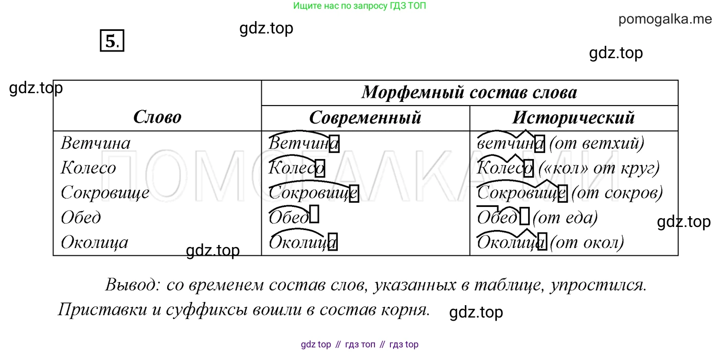ГДЗ Русский язык, 7 класс Учебник, авторы: Разумовская Маргарита Михайловна, Львова Светлана Ивановна, Капинос Валентина Ивановна, Львов Валентин Витальевич, Сергеева Наталья Николаевна, Соловейчик Марина Сергеевна, издательство Просвещение, Москва, 2021, белого цвета, страница 7, номер 5, Решение 3