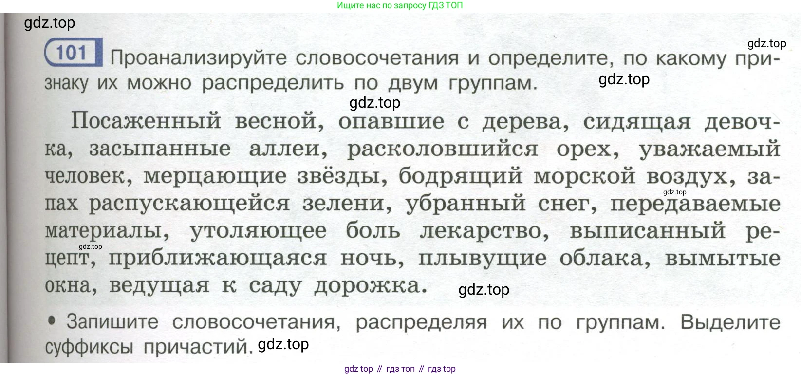 Русский язык, 7 класс Учебник, авторы: Рыбченкова Лидия Макаровна, Александрова Ольга Макаровна, Загоровская Ольга Владимировна, Нарушевич Андрей Георгиевич, Вакурова Ольга Фёдоровна, Григорьев Андрей Владимирович, Кузина Анна Николаевна, издательство Просвещение, Москва, 2019, коричневого цвета, Часть 1, страница 53, номер 101, Условие