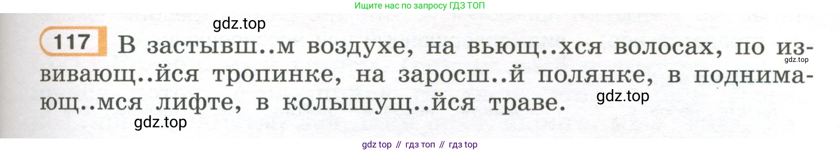 Русский язык, 7 класс Учебник, авторы: Рыбченкова Лидия Макаровна, Александрова Ольга Макаровна, Загоровская Ольга Владимировна, Нарушевич Андрей Георгиевич, Вакурова Ольга Фёдоровна, Григорьев Андрей Владимирович, Кузина Анна Николаевна, издательство Просвещение, Москва, 2019, коричневого цвета, Часть 1, страница 61, номер 117, Условие