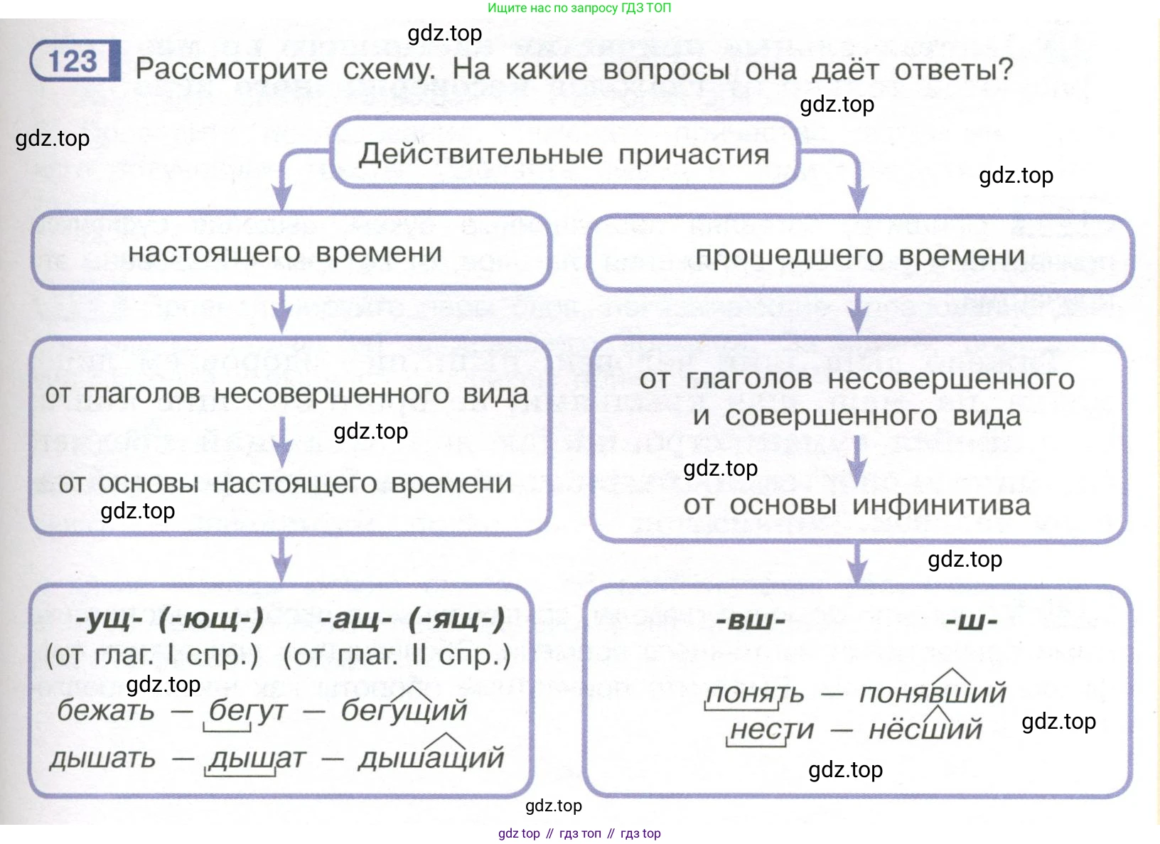 Русский язык, 7 класс Учебник, авторы: Рыбченкова Лидия Макаровна, Александрова Ольга Макаровна, Загоровская Ольга Владимировна, Нарушевич Андрей Георгиевич, Вакурова Ольга Фёдоровна, Григорьев Андрей Владимирович, Кузина Анна Николаевна, издательство Просвещение, Москва, 2019, коричневого цвета, Часть 1, страница 63, номер 123, Условие