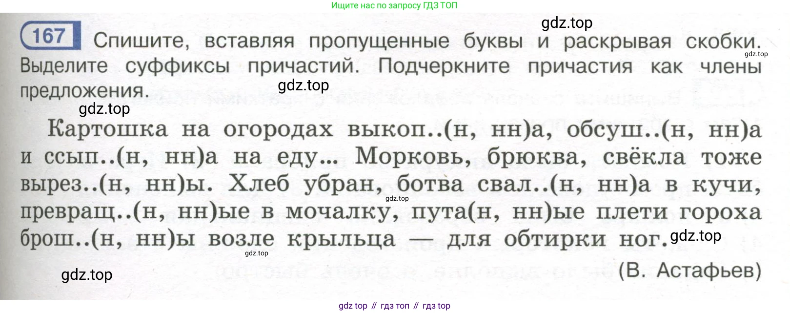 Русский язык, 7 класс Учебник, авторы: Рыбченкова Лидия Макаровна, Александрова Ольга Макаровна, Загоровская Ольга Владимировна, Нарушевич Андрей Георгиевич, Вакурова Ольга Фёдоровна, Григорьев Андрей Владимирович, Кузина Анна Николаевна, издательство Просвещение, Москва, 2019, коричневого цвета, Часть 1, страница 81, номер 167, Условие