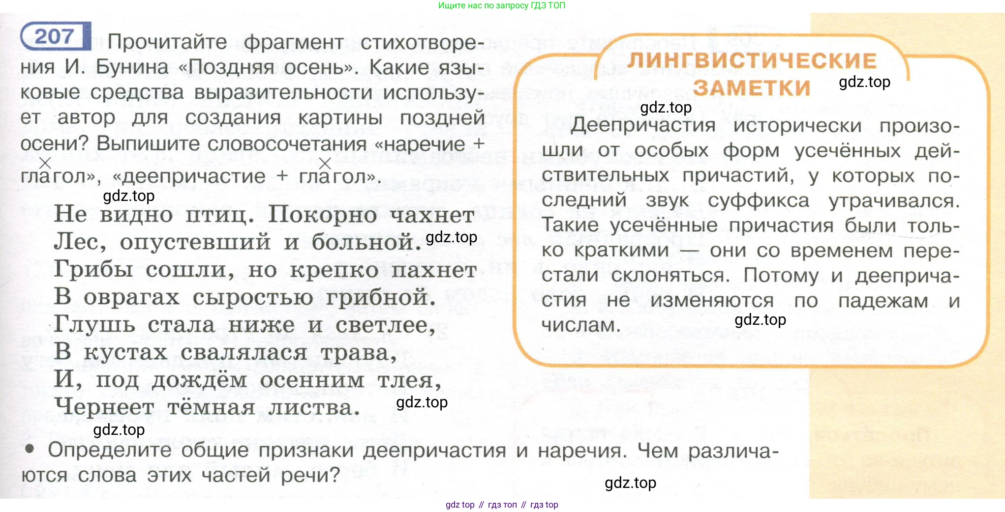 Русский язык, 7 класс Учебник, авторы: Рыбченкова Лидия Макаровна, Александрова Ольга Макаровна, Загоровская Ольга Владимировна, Нарушевич Андрей Георгиевич, Вакурова Ольга Фёдоровна, Григорьев Андрей Владимирович, Кузина Анна Николаевна, издательство Просвещение, Москва, 2019, коричневого цвета, Часть 1, страница 99, номер 207, Условие