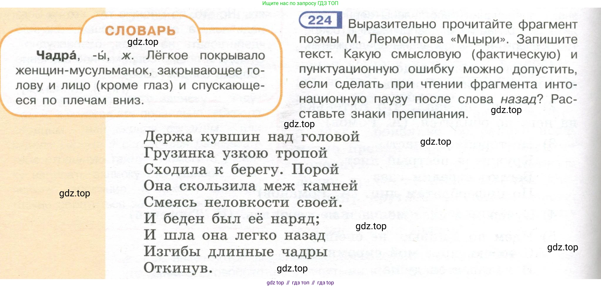 Русский язык, 7 класс Учебник, авторы: Рыбченкова Лидия Макаровна, Александрова Ольга Макаровна, Загоровская Ольга Владимировна, Нарушевич Андрей Георгиевич, Вакурова Ольга Фёдоровна, Григорьев Андрей Владимирович, Кузина Анна Николаевна, издательство Просвещение, Москва, 2019, коричневого цвета, Часть 1, страница 108, номер 224, Условие
