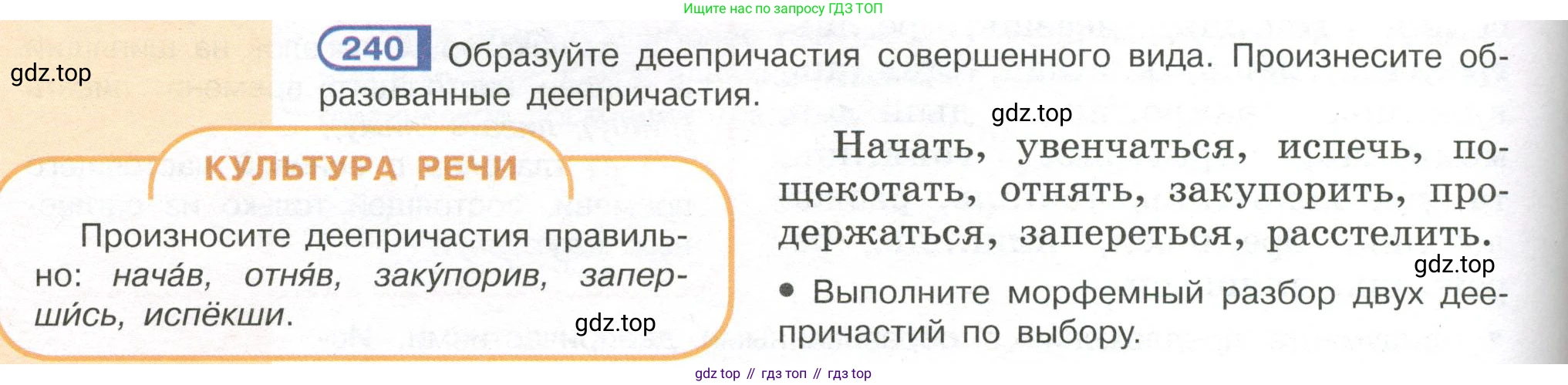 Русский язык, 7 класс Учебник, авторы: Рыбченкова Лидия Макаровна, Александрова Ольга Макаровна, Загоровская Ольга Владимировна, Нарушевич Андрей Георгиевич, Вакурова Ольга Фёдоровна, Григорьев Андрей Владимирович, Кузина Анна Николаевна, издательство Просвещение, Москва, 2019, коричневого цвета, Часть 1, страница 118, номер 240, Условие