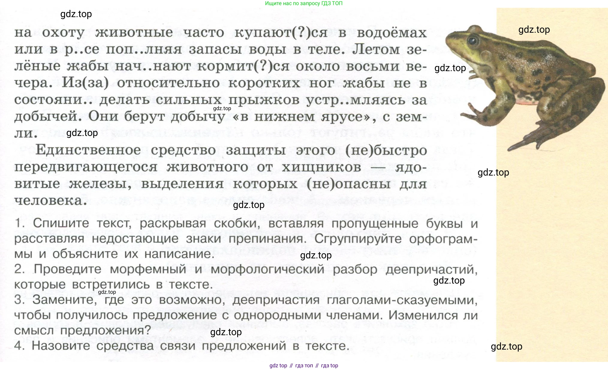 Русский язык, 7 класс Учебник, авторы: Рыбченкова Лидия Макаровна, Александрова Ольга Макаровна, Загоровская Ольга Владимировна, Нарушевич Андрей Георгиевич, Вакурова Ольга Фёдоровна, Григорьев Андрей Владимирович, Кузина Анна Николаевна, издательство Просвещение, Москва, 2019, коричневого цвета, Часть 1, страница 134, номер 262, Условие (продолжение 2)