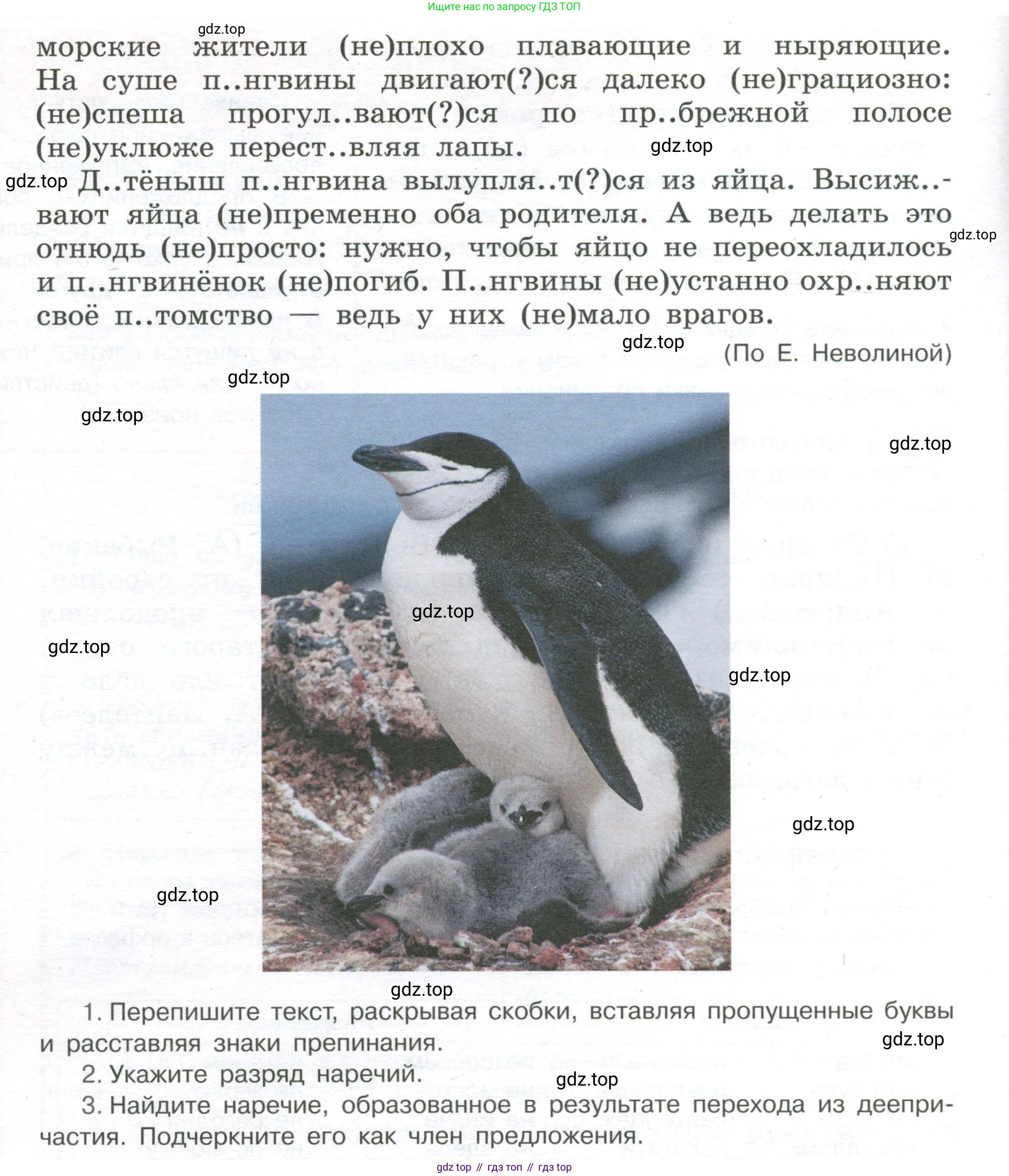 Русский язык, 7 класс Учебник, авторы: Рыбченкова Лидия Макаровна, Александрова Ольга Макаровна, Загоровская Ольга Владимировна, Нарушевич Андрей Георгиевич, Вакурова Ольга Фёдоровна, Григорьев Андрей Владимирович, Кузина Анна Николаевна, издательство Просвещение, Москва, 2019, коричневого цвета, Часть 2, страница 19, номер 303, Условие (продолжение 2)