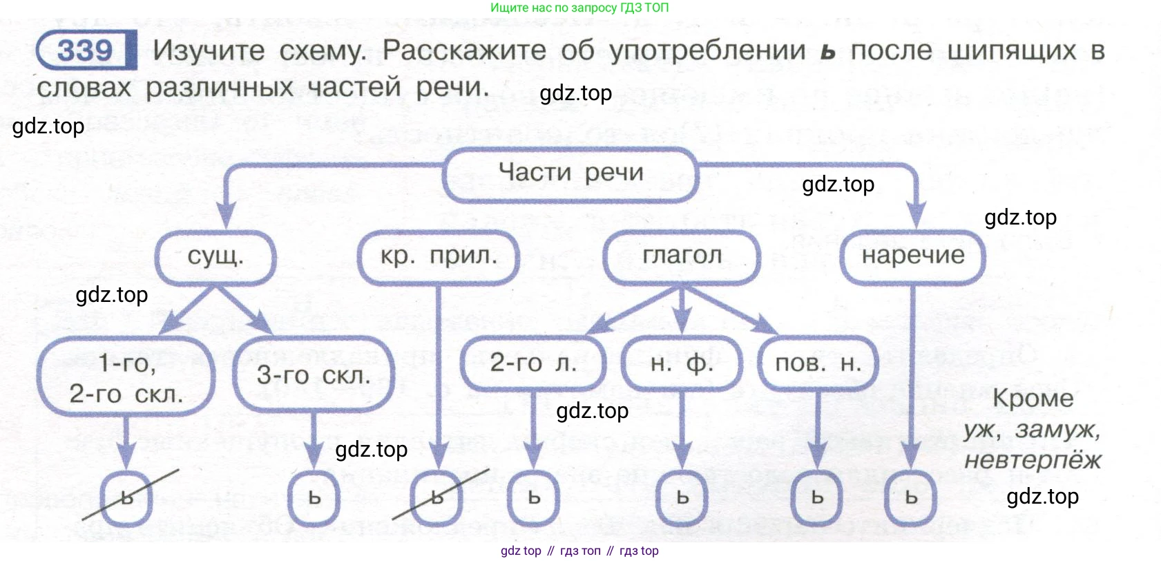 Русский язык, 7 класс Учебник, авторы: Рыбченкова Лидия Макаровна, Александрова Ольга Макаровна, Загоровская Ольга Владимировна, Нарушевич Андрей Георгиевич, Вакурова Ольга Фёдоровна, Григорьев Андрей Владимирович, Кузина Анна Николаевна, издательство Просвещение, Москва, 2019, коричневого цвета, Часть 2, страница 36, номер 339, Условие