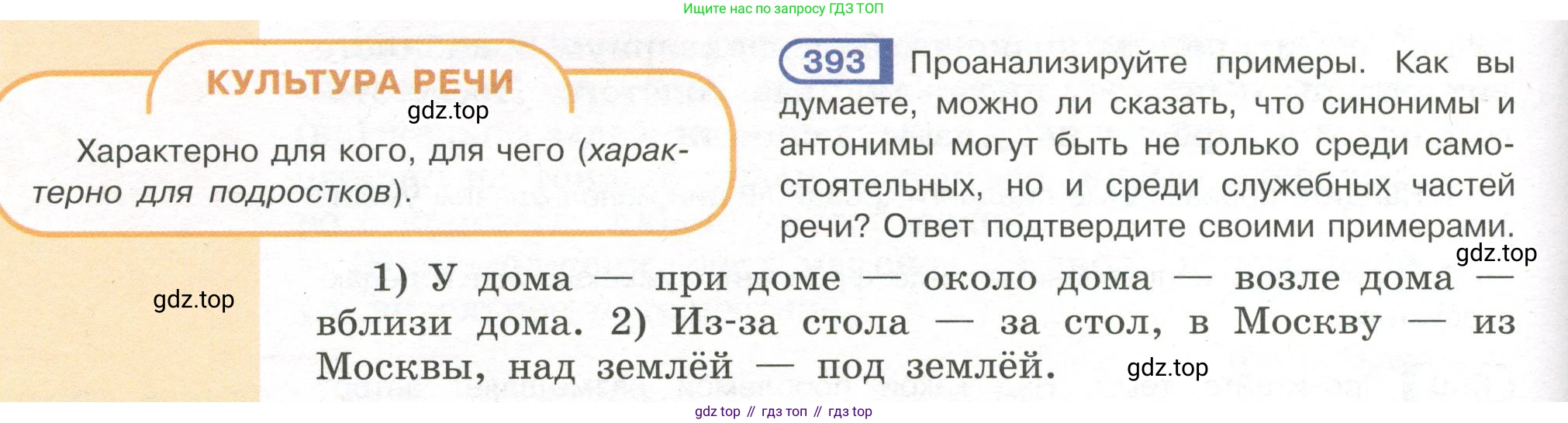 Русский язык, 7 класс Учебник, авторы: Рыбченкова Лидия Макаровна, Александрова Ольга Макаровна, Загоровская Ольга Владимировна, Нарушевич Андрей Георгиевич, Вакурова Ольга Фёдоровна, Григорьев Андрей Владимирович, Кузина Анна Николаевна, издательство Просвещение, Москва, 2019, коричневого цвета, Часть 2, страница 58, номер 393, Условие