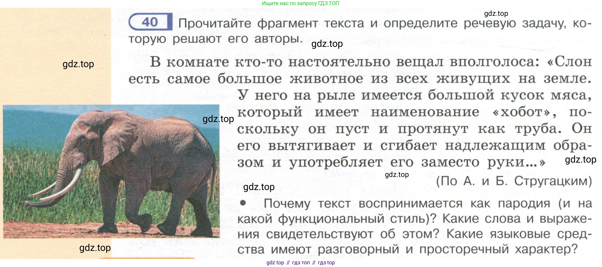 Русский язык, 7 класс Учебник, авторы: Рыбченкова Лидия Макаровна, Александрова Ольга Макаровна, Загоровская Ольга Владимировна, Нарушевич Андрей Георгиевич, Вакурова Ольга Фёдоровна, Григорьев Андрей Владимирович, Кузина Анна Николаевна, издательство Просвещение, Москва, 2019, коричневого цвета, Часть 1, страница 22, номер 40, Условие