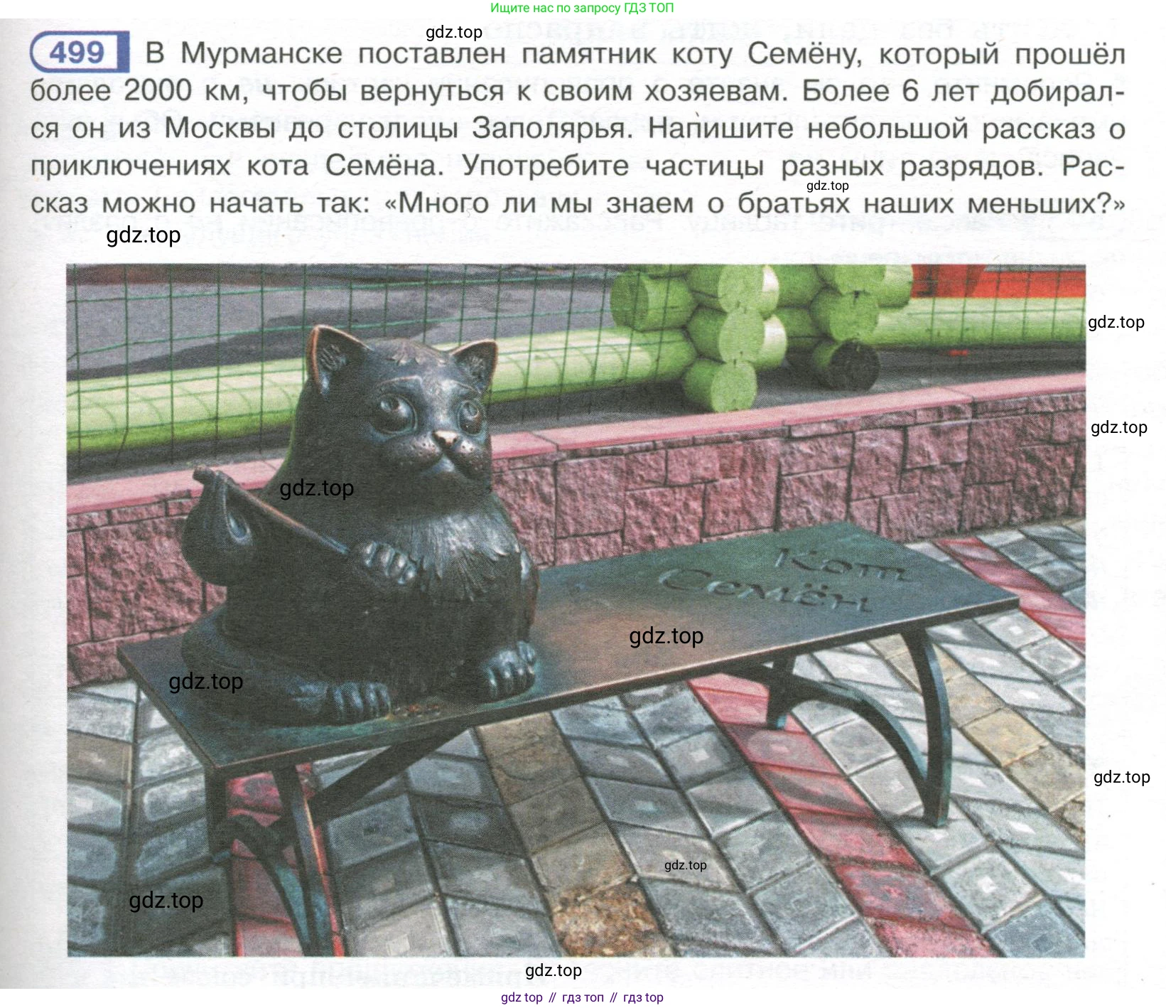 Русский язык, 7 класс Учебник, авторы: Рыбченкова Лидия Макаровна, Александрова Ольга Макаровна, Загоровская Ольга Владимировна, Нарушевич Андрей Георгиевич, Вакурова Ольга Фёдоровна, Григорьев Андрей Владимирович, Кузина Анна Николаевна, издательство Просвещение, Москва, 2019, коричневого цвета, Часть 2, страница 109, номер 499, Условие