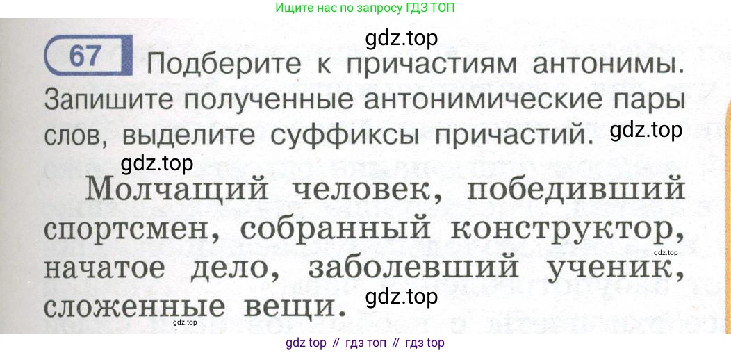 Русский язык, 7 класс Учебник, авторы: Рыбченкова Лидия Макаровна, Александрова Ольга Макаровна, Загоровская Ольга Владимировна, Нарушевич Андрей Георгиевич, Вакурова Ольга Фёдоровна, Григорьев Андрей Владимирович, Кузина Анна Николаевна, издательство Просвещение, Москва, 2019, коричневого цвета, Часть 1, страница 39, номер 67, Условие