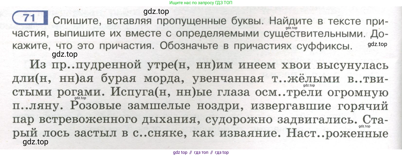 Русский язык, 7 класс Учебник, авторы: Рыбченкова Лидия Макаровна, Александрова Ольга Макаровна, Загоровская Ольга Владимировна, Нарушевич Андрей Георгиевич, Вакурова Ольга Фёдоровна, Григорьев Андрей Владимирович, Кузина Анна Николаевна, издательство Просвещение, Москва, 2019, коричневого цвета, Часть 1, страница 40, номер 71, Условие