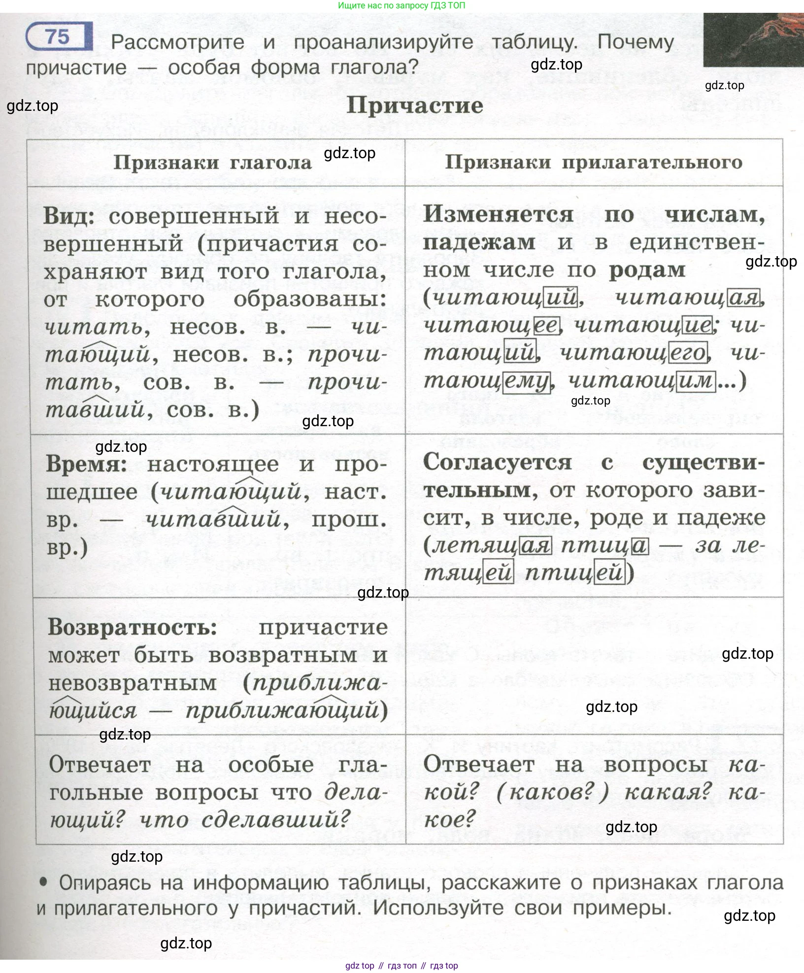 Русский язык, 7 класс Учебник, авторы: Рыбченкова Лидия Макаровна, Александрова Ольга Макаровна, Загоровская Ольга Владимировна, Нарушевич Андрей Георгиевич, Вакурова Ольга Фёдоровна, Григорьев Андрей Владимирович, Кузина Анна Николаевна, издательство Просвещение, Москва, 2019, коричневого цвета, Часть 1, страница 43, номер 75, Условие
