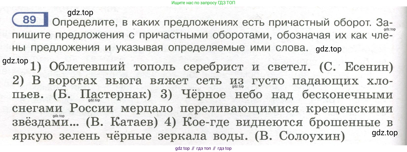 Русский язык, 7 класс Учебник, авторы: Рыбченкова Лидия Макаровна, Александрова Ольга Макаровна, Загоровская Ольга Владимировна, Нарушевич Андрей Георгиевич, Вакурова Ольга Фёдоровна, Григорьев Андрей Владимирович, Кузина Анна Николаевна, издательство Просвещение, Москва, 2019, коричневого цвета, Часть 1, страница 48, номер 89, Условие