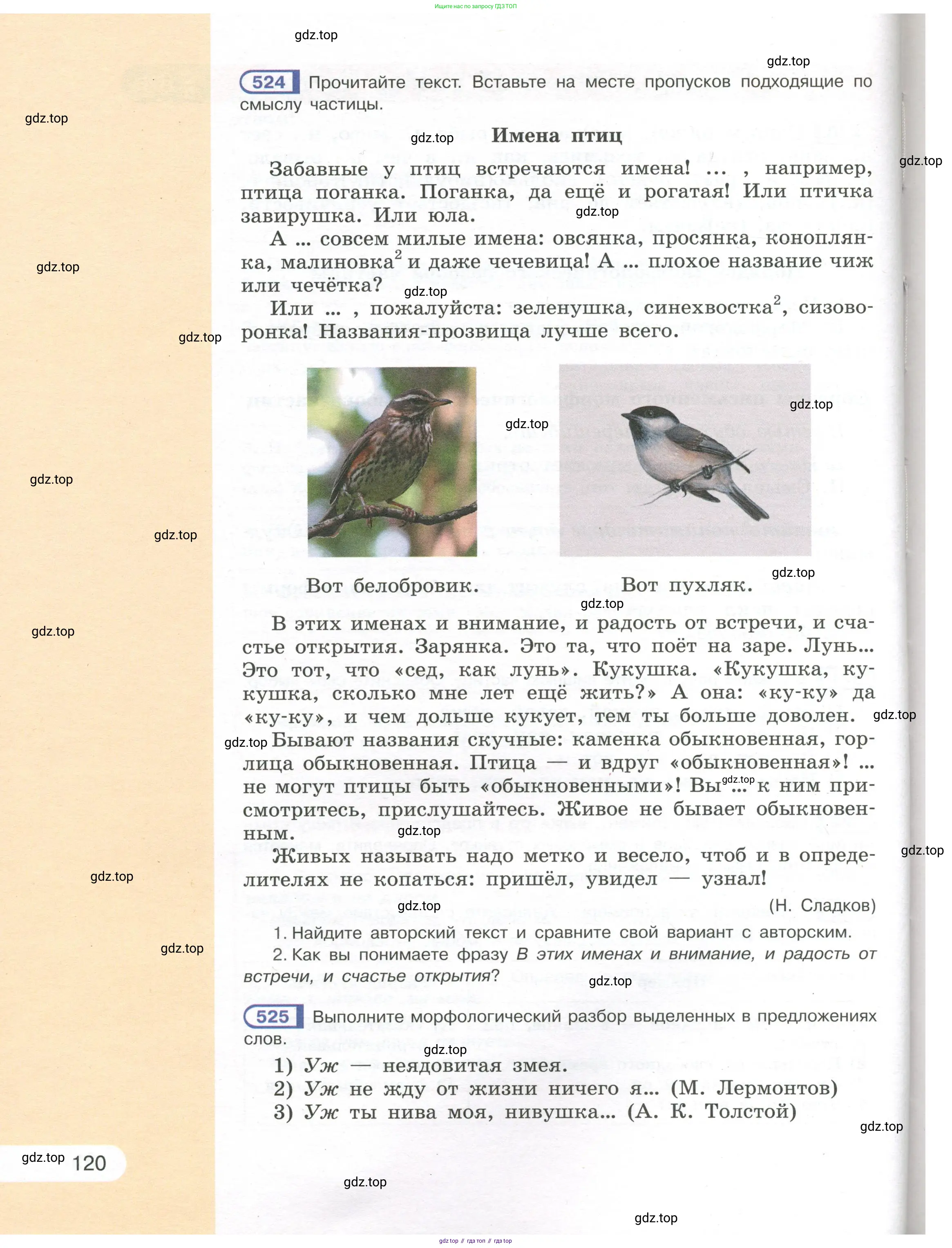 Русский язык, 7 класс Учебник, авторы: Рыбченкова Лидия Макаровна, Александрова Ольга Макаровна, Загоровская Ольга Владимировна, Нарушевич Андрей Георгиевич, Вакурова Ольга Фёдоровна, Григорьев Андрей Владимирович, Кузина Анна Николаевна, издательство Просвещение, Москва, 2019, коричневого цвета, Часть 1, страница 120