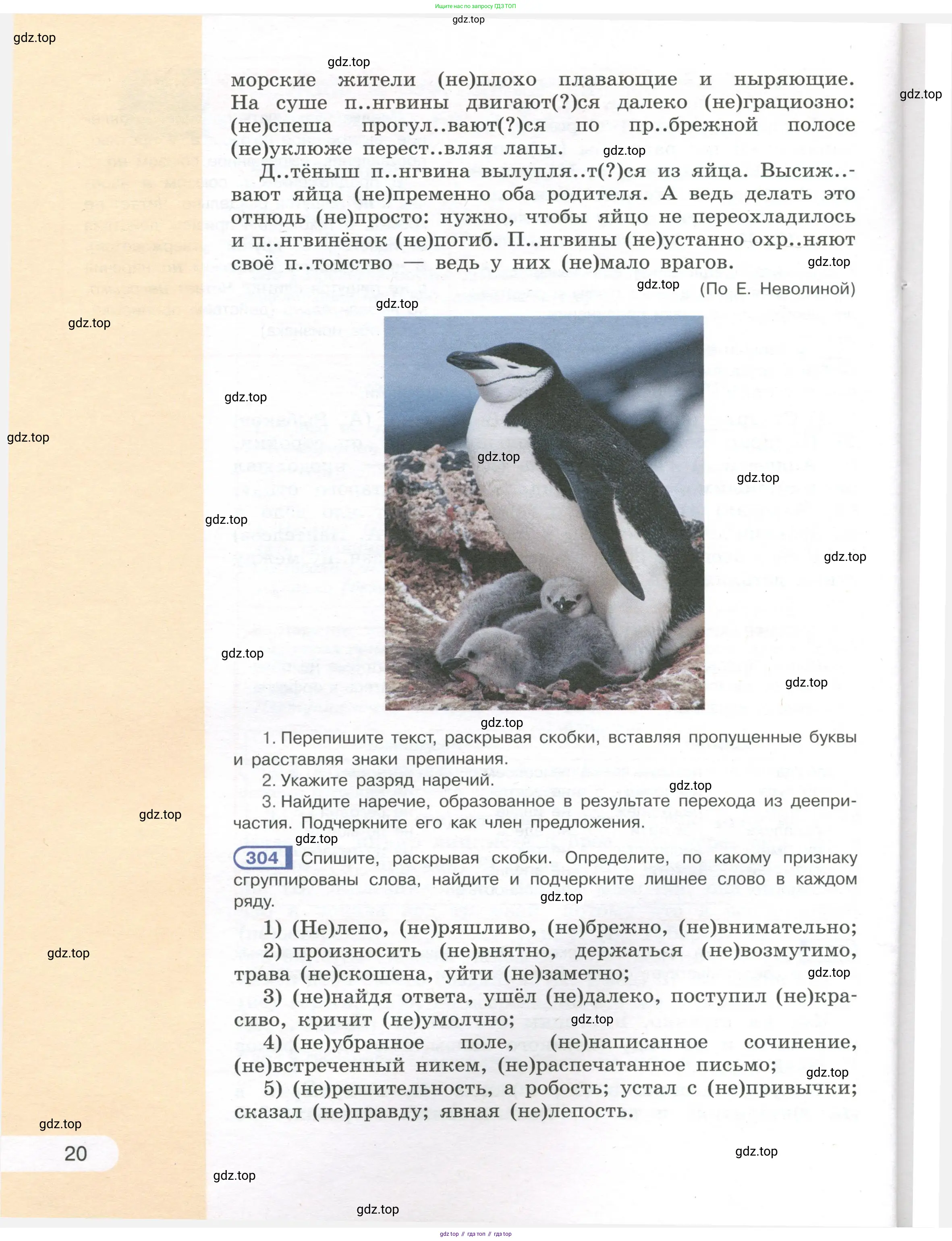 Русский язык, 7 класс Учебник, авторы: Рыбченкова Лидия Макаровна, Александрова Ольга Макаровна, Загоровская Ольга Владимировна, Нарушевич Андрей Георгиевич, Вакурова Ольга Фёдоровна, Григорьев Андрей Владимирович, Кузина Анна Николаевна, издательство Просвещение, Москва, 2019, коричневого цвета, Часть 1, страница 20