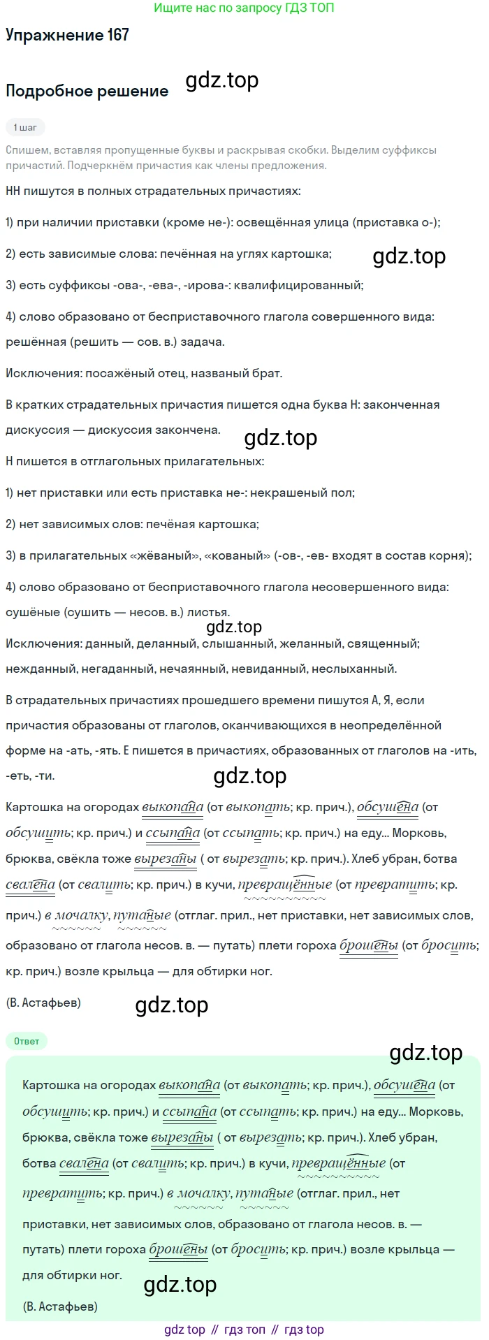 Русский язык, 7 класс Учебник, авторы: Рыбченкова Лидия Макаровна, Александрова Ольга Макаровна, Загоровская Ольга Владимировна, Нарушевич Андрей Георгиевич, Вакурова Ольга Фёдоровна, Григорьев Андрей Владимирович, Кузина Анна Николаевна, издательство Просвещение, Москва, 2019, коричневого цвета, Часть 1, страница 81, номер 167, Решение 1