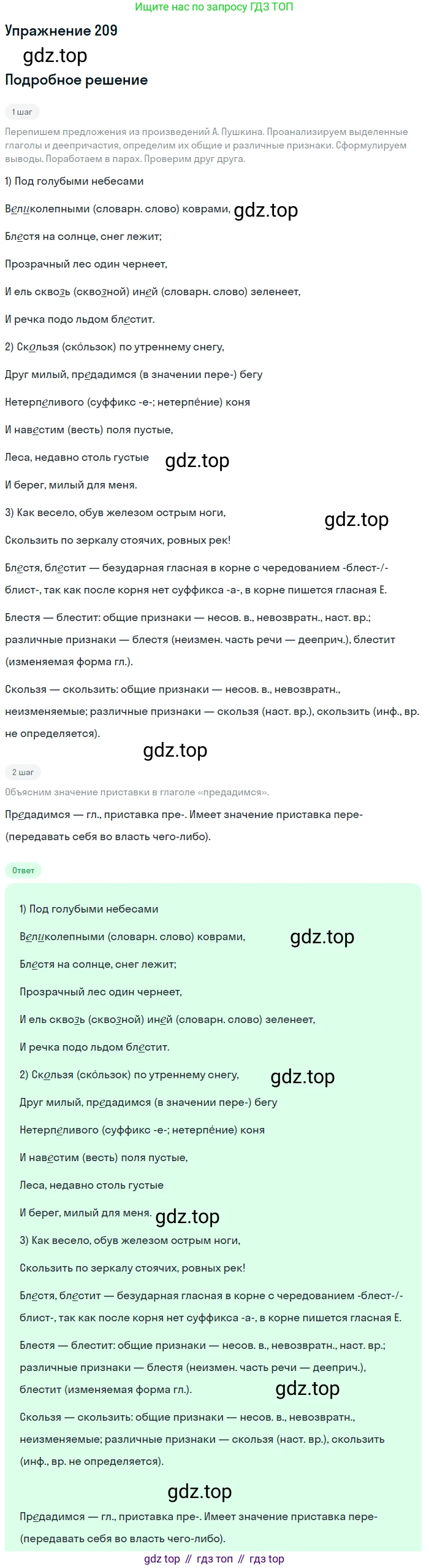 Русский язык, 7 класс Учебник, авторы: Рыбченкова Лидия Макаровна, Александрова Ольга Макаровна, Загоровская Ольга Владимировна, Нарушевич Андрей Георгиевич, Вакурова Ольга Фёдоровна, Григорьев Андрей Владимирович, Кузина Анна Николаевна, издательство Просвещение, Москва, 2019, коричневого цвета, Часть 1, страница 100, номер 209, Решение 1