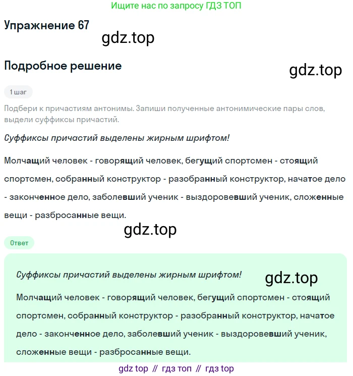 Русский язык, 7 класс Учебник, авторы: Рыбченкова Лидия Макаровна, Александрова Ольга Макаровна, Загоровская Ольга Владимировна, Нарушевич Андрей Георгиевич, Вакурова Ольга Фёдоровна, Григорьев Андрей Владимирович, Кузина Анна Николаевна, издательство Просвещение, Москва, 2019, коричневого цвета, Часть 1, страница 39, номер 67, Решение 1