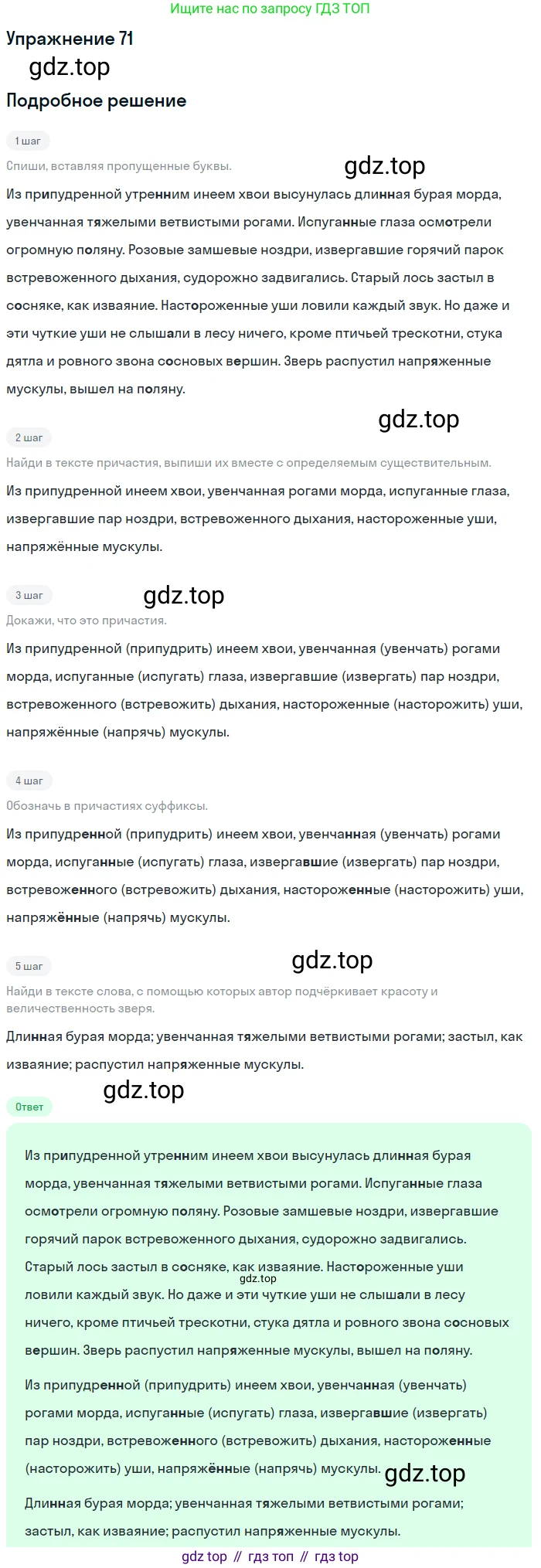 Русский язык, 7 класс Учебник, авторы: Рыбченкова Лидия Макаровна, Александрова Ольга Макаровна, Загоровская Ольга Владимировна, Нарушевич Андрей Георгиевич, Вакурова Ольга Фёдоровна, Григорьев Андрей Владимирович, Кузина Анна Николаевна, издательство Просвещение, Москва, 2019, коричневого цвета, Часть 1, страница 40, номер 71, Решение 1