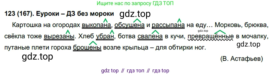 Русский язык, 7 класс Учебник, авторы: Рыбченкова Лидия Макаровна, Александрова Ольга Макаровна, Загоровская Ольга Владимировна, Нарушевич Андрей Георгиевич, Вакурова Ольга Фёдоровна, Григорьев Андрей Владимирович, Кузина Анна Николаевна, издательство Просвещение, Москва, 2019, коричневого цвета, Часть 1, страница 63, номер 123, Решение 2