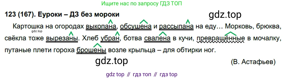 Русский язык, 7 класс Учебник, авторы: Рыбченкова Лидия Макаровна, Александрова Ольга Макаровна, Загоровская Ольга Владимировна, Нарушевич Андрей Георгиевич, Вакурова Ольга Фёдоровна, Григорьев Андрей Владимирович, Кузина Анна Николаевна, издательство Просвещение, Москва, 2019, коричневого цвета, Часть 1, страница 81, номер 167, Решение 2