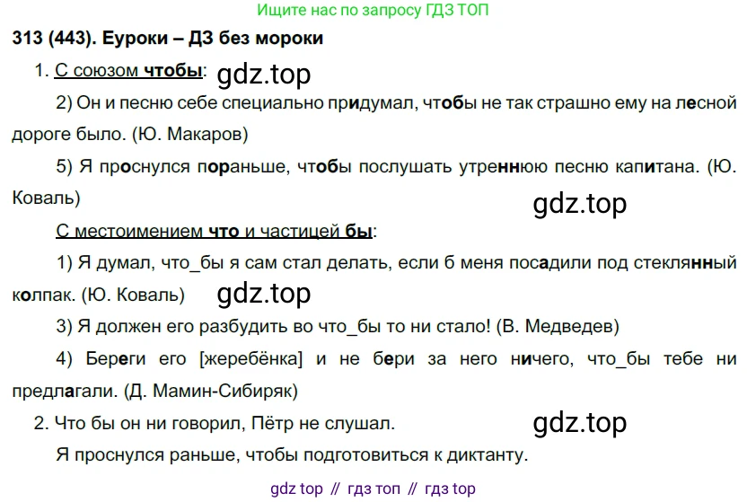 Русский язык, 7 класс Учебник, авторы: Рыбченкова Лидия Макаровна, Александрова Ольга Макаровна, Загоровская Ольга Владимировна, Нарушевич Андрей Георгиевич, Вакурова Ольга Фёдоровна, Григорьев Андрей Владимирович, Кузина Анна Николаевна, издательство Просвещение, Москва, 2019, коричневого цвета, Часть 2, страница 25, номер 313, Решение 2