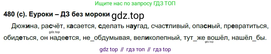 Русский язык, 7 класс Учебник, авторы: Рыбченкова Лидия Макаровна, Александрова Ольга Макаровна, Загоровская Ольга Владимировна, Нарушевич Андрей Георгиевич, Вакурова Ольга Фёдоровна, Григорьев Андрей Владимирович, Кузина Анна Николаевна, издательство Просвещение, Москва, 2019, коричневого цвета, Часть 2, страница 101, номер 480, Решение 2