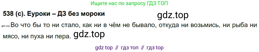 Русский язык, 7 класс Учебник, авторы: Рыбченкова Лидия Макаровна, Александрова Ольга Макаровна, Загоровская Ольга Владимировна, Нарушевич Андрей Георгиевич, Вакурова Ольга Фёдоровна, Григорьев Андрей Владимирович, Кузина Анна Николаевна, издательство Просвещение, Москва, 2019, коричневого цвета, Часть 2, страница 126, номер 538, Решение 2
