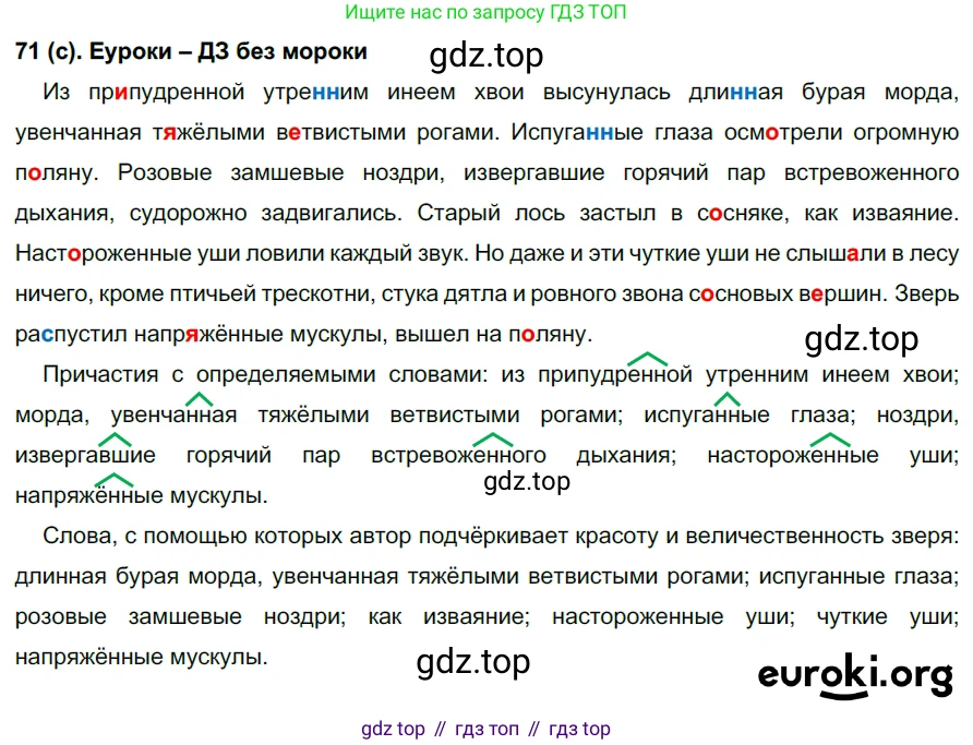 Русский язык, 7 класс Учебник, авторы: Рыбченкова Лидия Макаровна, Александрова Ольга Макаровна, Загоровская Ольга Владимировна, Нарушевич Андрей Георгиевич, Вакурова Ольга Фёдоровна, Григорьев Андрей Владимирович, Кузина Анна Николаевна, издательство Просвещение, Москва, 2019, коричневого цвета, Часть 1, страница 40, номер 71, Решение 2