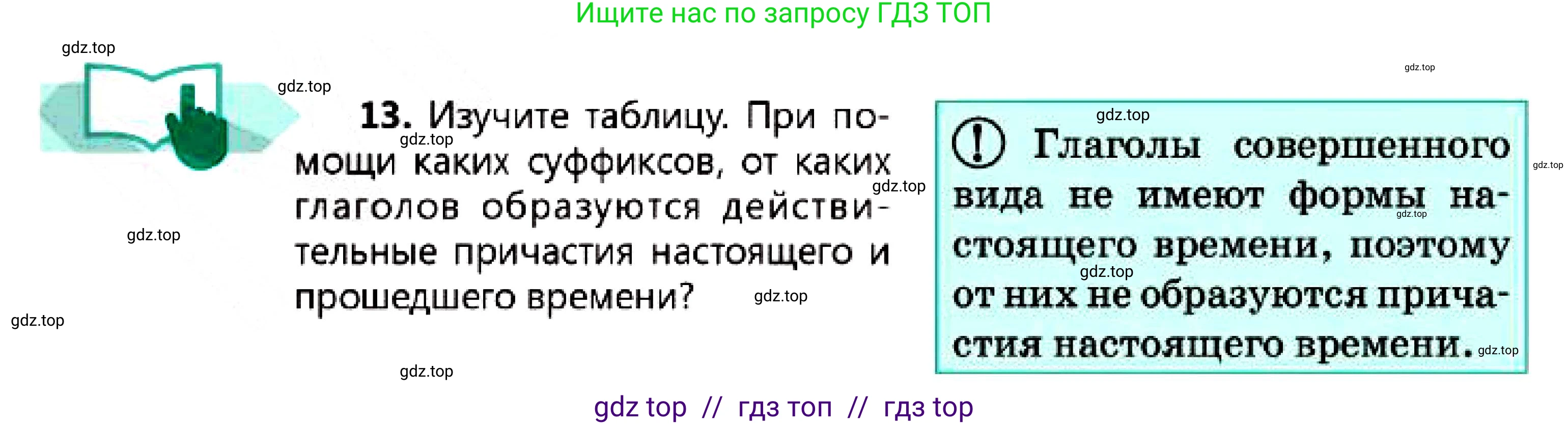 Русский язык, 7 класс Учебник, авторы: Сабитова Зинаида Какбаевна, Скляренко Ксения Сергеевна, Дюсенова Динара Сагимжановна, Жанкидирова Гульжан Токтарбековна, издательство Мектеп, Алматы, 2025, страница 10, номер 13, Условие
