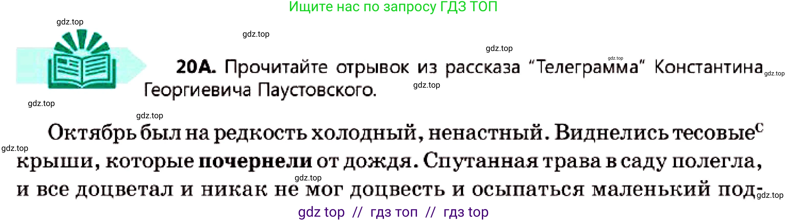 Русский язык, 7 класс Учебник, авторы: Сабитова Зинаида Какбаевна, Скляренко Ксения Сергеевна, Дюсенова Динара Сагимжановна, Жанкидирова Гульжан Токтарбековна, издательство Мектеп, Алматы, 2025, страница 14, номер 20, Условие