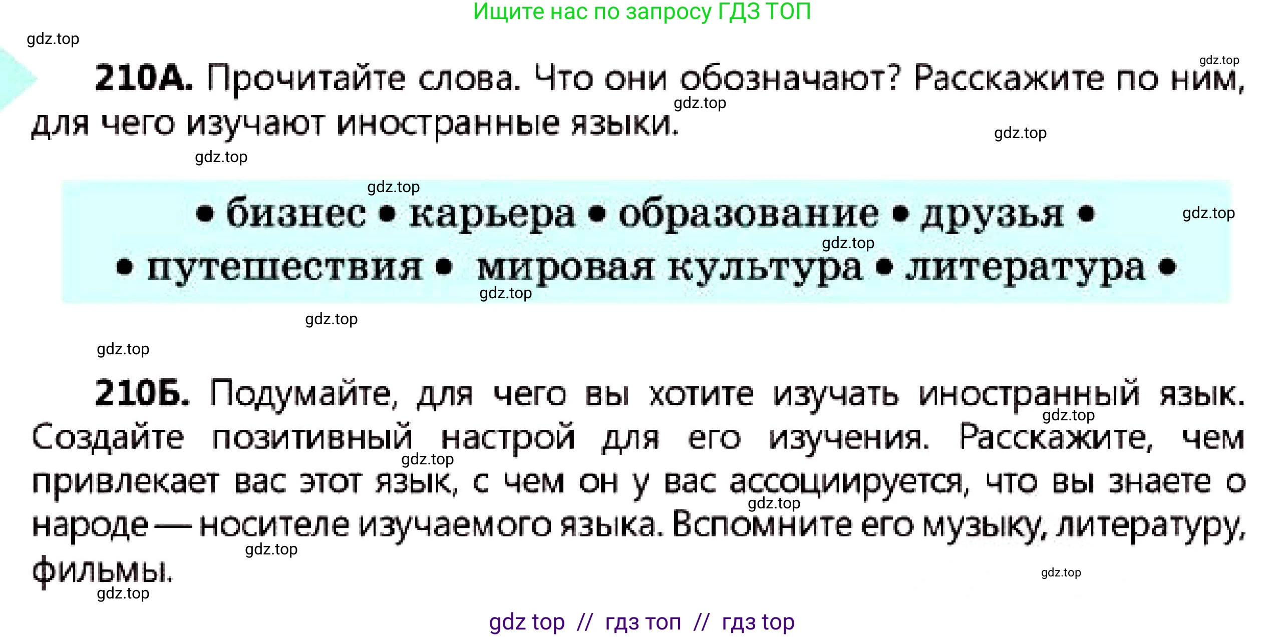 Русский язык, 7 класс Учебник, авторы: Сабитова Зинаида Какбаевна, Скляренко Ксения Сергеевна, Дюсенова Динара Сагимжановна, Жанкидирова Гульжан Токтарбековна, издательство Мектеп, Алматы, 2025, страница 117, номер 210, Условие