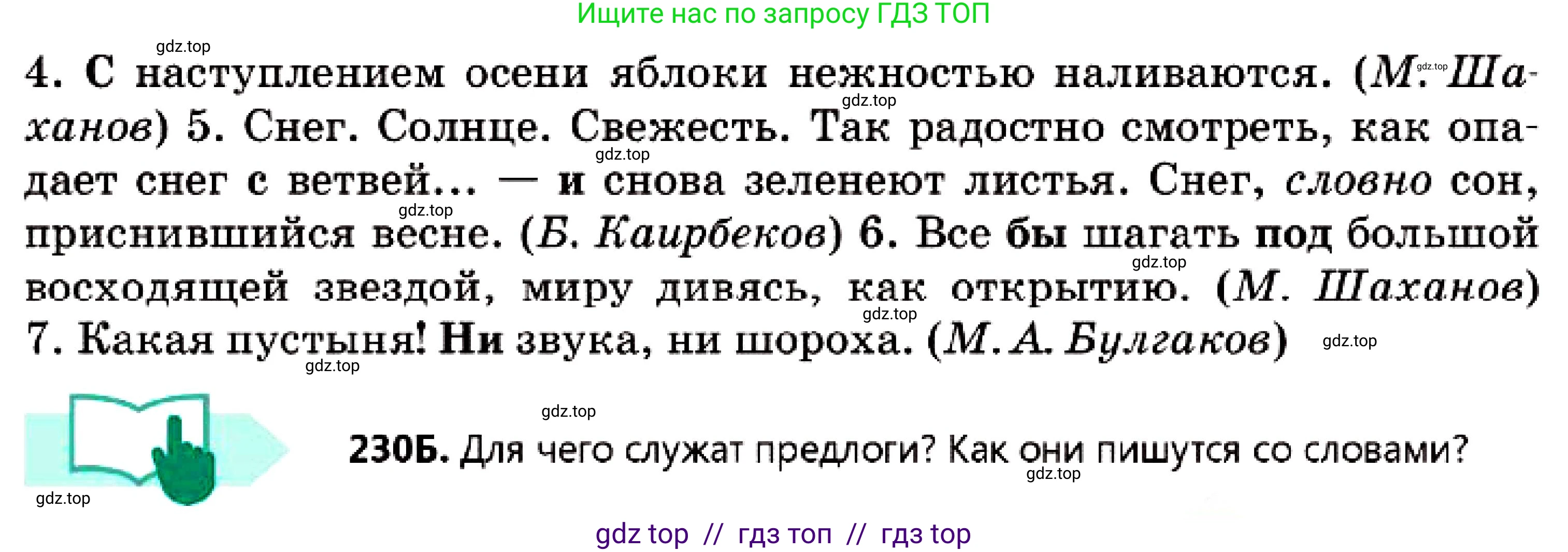 Русский язык, 7 класс Учебник, авторы: Сабитова Зинаида Какбаевна, Скляренко Ксения Сергеевна, Дюсенова Динара Сагимжановна, Жанкидирова Гульжан Токтарбековна, издательство Мектеп, Алматы, 2025, страница 127, номер 230, Условие (продолжение 2)
