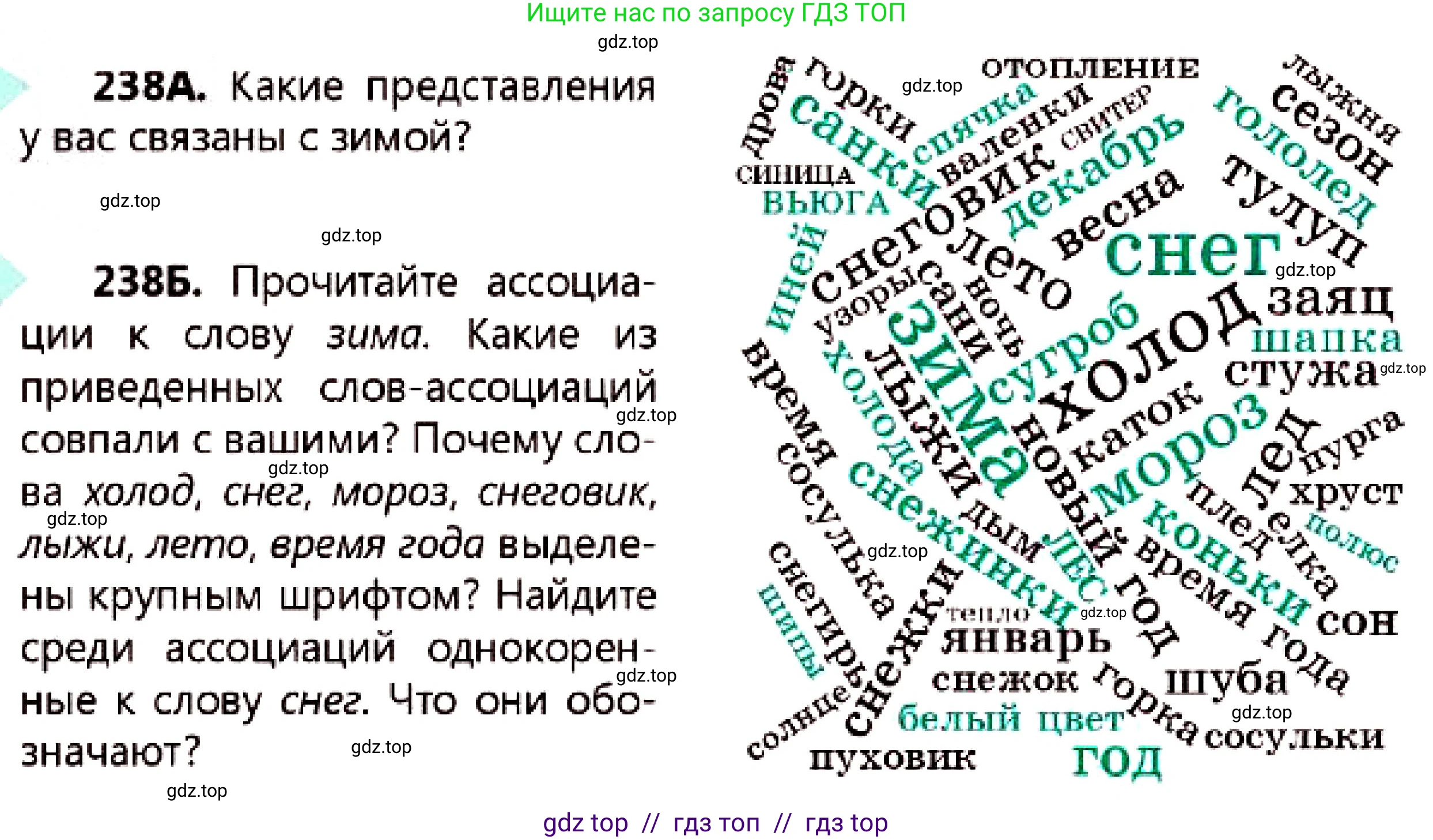 Русский язык, 7 класс Учебник, авторы: Сабитова Зинаида Какбаевна, Скляренко Ксения Сергеевна, Дюсенова Динара Сагимжановна, Жанкидирова Гульжан Токтарбековна, издательство Мектеп, Алматы, 2025, страница 132, номер 238, Условие
