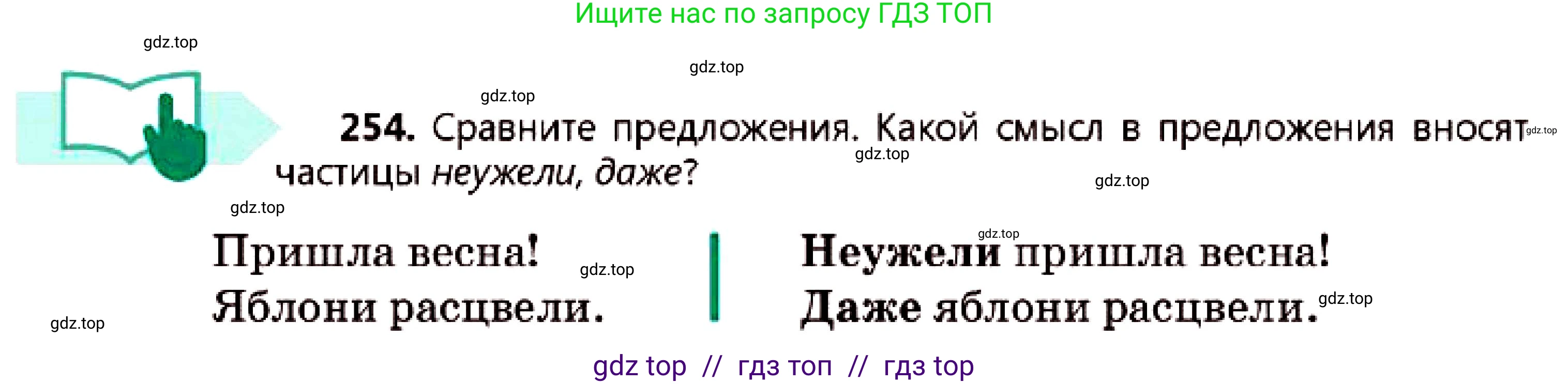 Русский язык, 7 класс Учебник, авторы: Сабитова Зинаида Какбаевна, Скляренко Ксения Сергеевна, Дюсенова Динара Сагимжановна, Жанкидирова Гульжан Токтарбековна, издательство Мектеп, Алматы, 2025, страница 142, номер 254, Условие