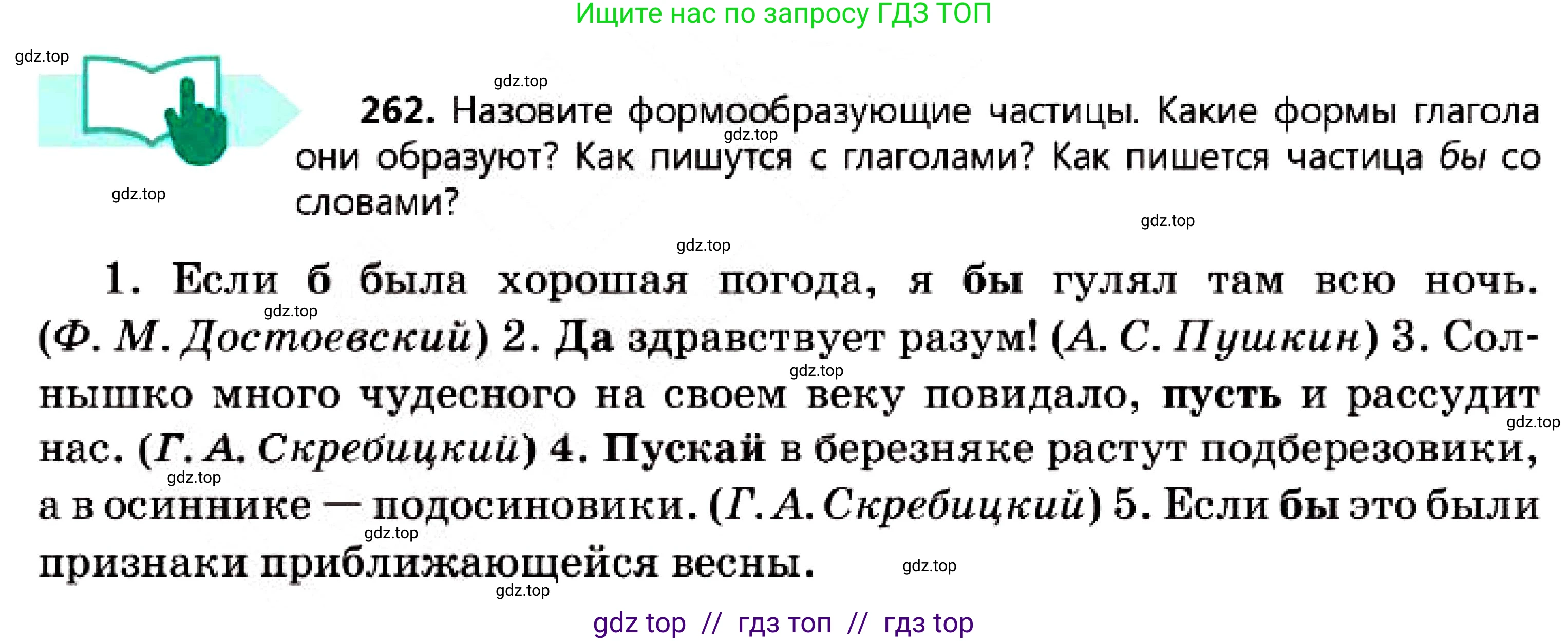 Русский язык, 7 класс Учебник, авторы: Сабитова Зинаида Какбаевна, Скляренко Ксения Сергеевна, Дюсенова Динара Сагимжановна, Жанкидирова Гульжан Токтарбековна, издательство Мектеп, Алматы, 2025, страница 147, номер 262, Условие