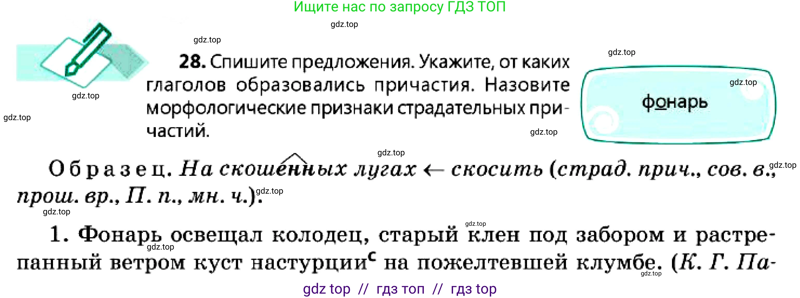 Русский язык, 7 класс Учебник, авторы: Сабитова Зинаида Какбаевна, Скляренко Ксения Сергеевна, Дюсенова Динара Сагимжановна, Жанкидирова Гульжан Токтарбековна, издательство Мектеп, Алматы, 2025, страница 18, номер 28, Условие