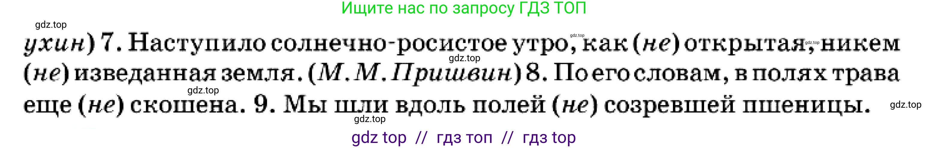 Русский язык, 7 класс Учебник, авторы: Сабитова Зинаида Какбаевна, Скляренко Ксения Сергеевна, Дюсенова Динара Сагимжановна, Жанкидирова Гульжан Токтарбековна, издательство Мектеп, Алматы, 2025, страница 159, номер 289, Условие (продолжение 2)