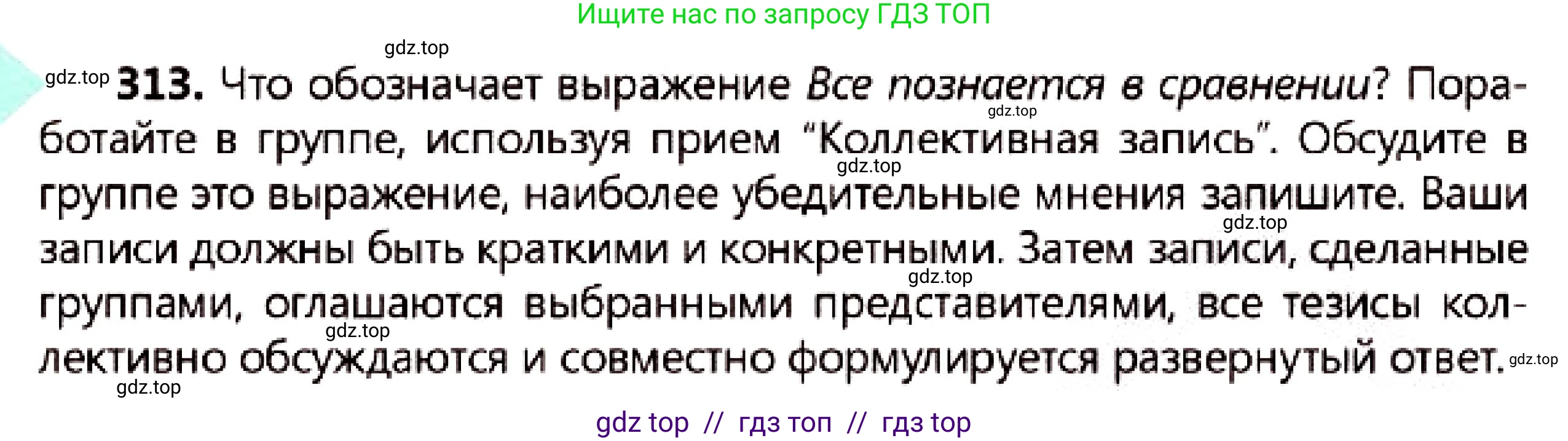Русский язык, 7 класс Учебник, авторы: Сабитова Зинаида Какбаевна, Скляренко Ксения Сергеевна, Дюсенова Динара Сагимжановна, Жанкидирова Гульжан Токтарбековна, издательство Мектеп, Алматы, 2025, страница 173, номер 313, Условие